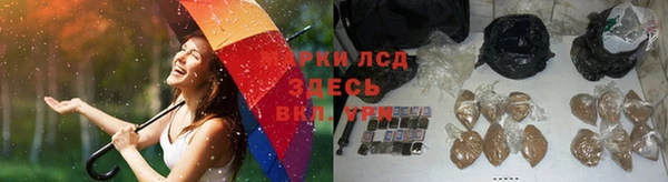 крисы Бугульма